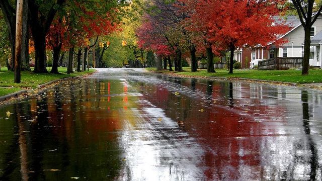 Vin ploile. Cum va fi vremea vineri în toate regiunile din țară