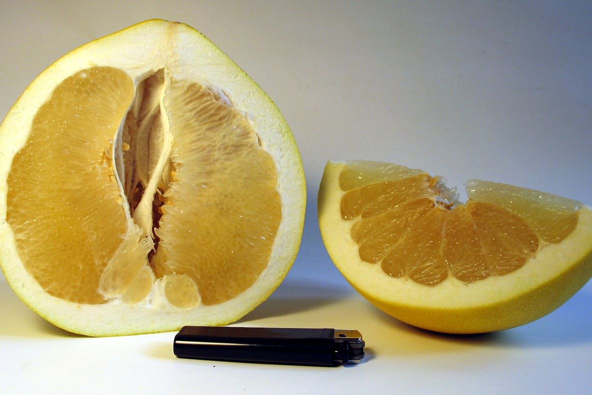 Lucrul neştiut despre POMELO. Ce conţine acest fruct