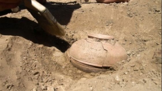 A găsit un vas vechi plin cu semințe uriașe, din care a plantat câteva. Când a văzut ce-a răsărit...