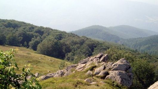 150 de persoane continuă căutările bărbatului pierdut în Munții Semenic