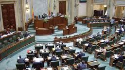 Tentativă de restrângere a libertăţii presei. În Senat se discută reincriminarea calominei