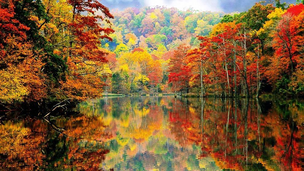 PROGNOZA METEO: Toamna caldă şi frumoasă - cum va fi vremea până în luna noiembrie