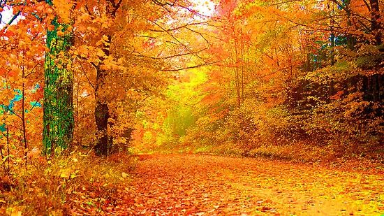 Vremea, deosebit de caldă pentru această perioadă. Ce temperaturi vor fi azi în toată țara