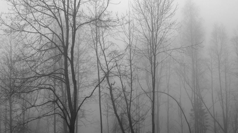 Vremea, atipică pentru această perioadă a anului. Prognoza meteo pe două săptămâni