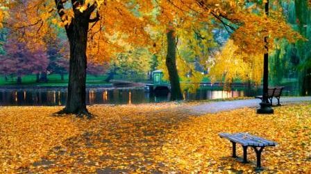 Vremea se schimbă. Prognoza meteo pentru luni, marți și miercuri