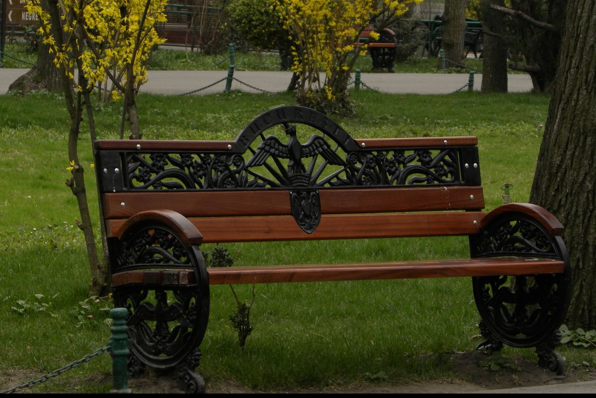 A văzut un pachet abandonat pe o bancă din parc.A înmărmurit când s-a apropiat și a văzut ce conține