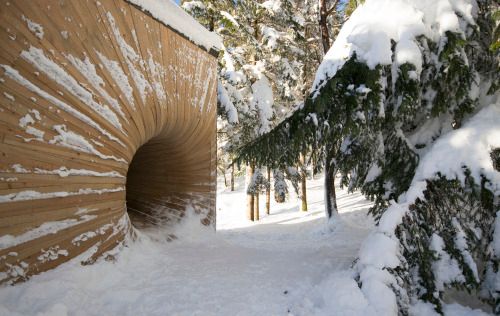 ŞOC! Au găsit un labirint în pădure. Au intrat în el, dar au ÎNCREMENIT când au văzut unde au ajuns
