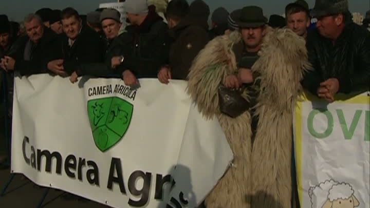 Legea Vânătorii poate fi modificată de Guvern, după protestul ciobanilor în faţa Parlamentului