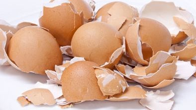 Ce se întâmplă dacă mănânci din greșeală coajă de ou