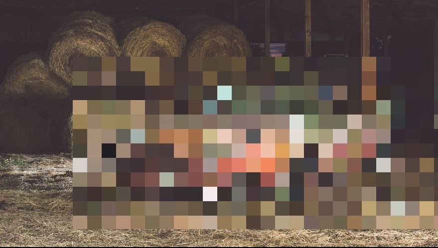 A ținut o mașină timp de 40 de ani în hambar. Când a scos-o dintre baloții de fân, s-a îmbogățit