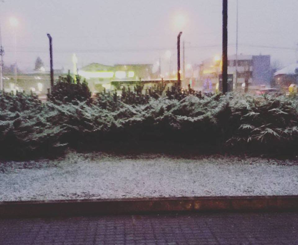 GALERIE FOTO. Prima ninsoare în Bucureşti. Capitala, sub primul strat de zăpadă, în această iarnă