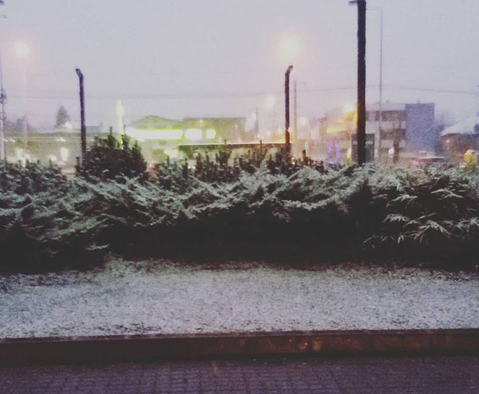 Cum va fi vremea în următoarele două săptămâni. Prognoza pentru toate regiunile