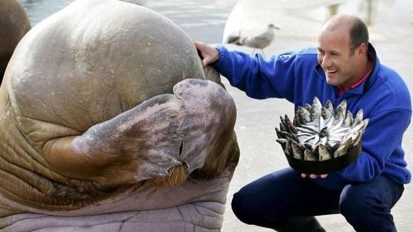 Imagini care au făcut furori pe internet în 2015 