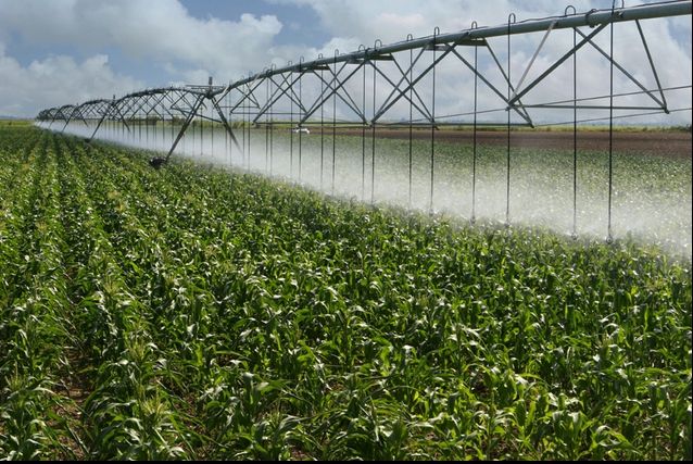 Bugetul de stat pe 2016, în dezbatere. Amendamentul privind irigațiile, respins 