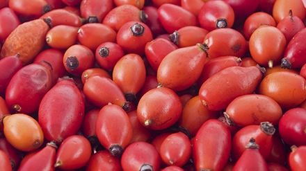 Ulei de măceşe: beneficii şi proprietăţi