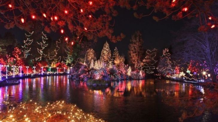 MESAJE DE CRĂCIUN: Idei de urări numai bune pentru cei dragi