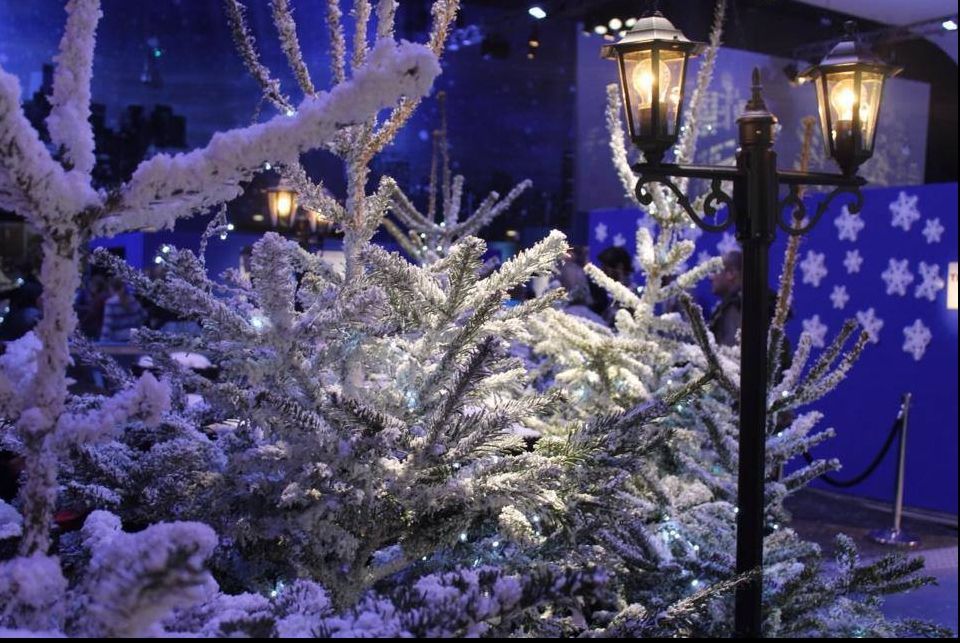 Fenomen spectaculos în noaptea de Crăciun. Se întâmplă o dată la 100 de ani