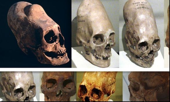 Aceste CRANII cu ADN non-uman au declanșat o furtună printre internauți