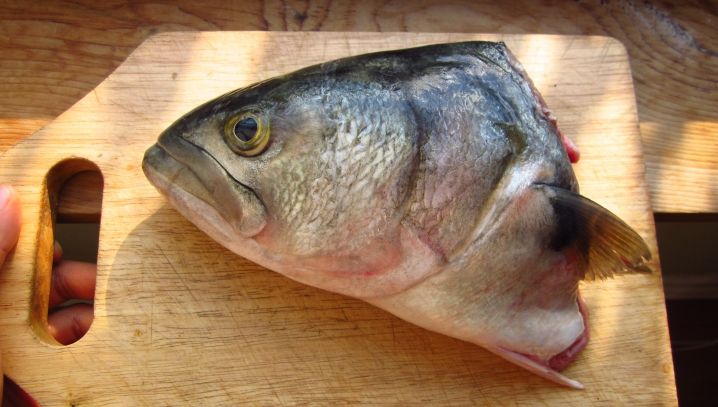 A fost atacată de un peşte fără cap. Momentul a fost filmat de soţui ei