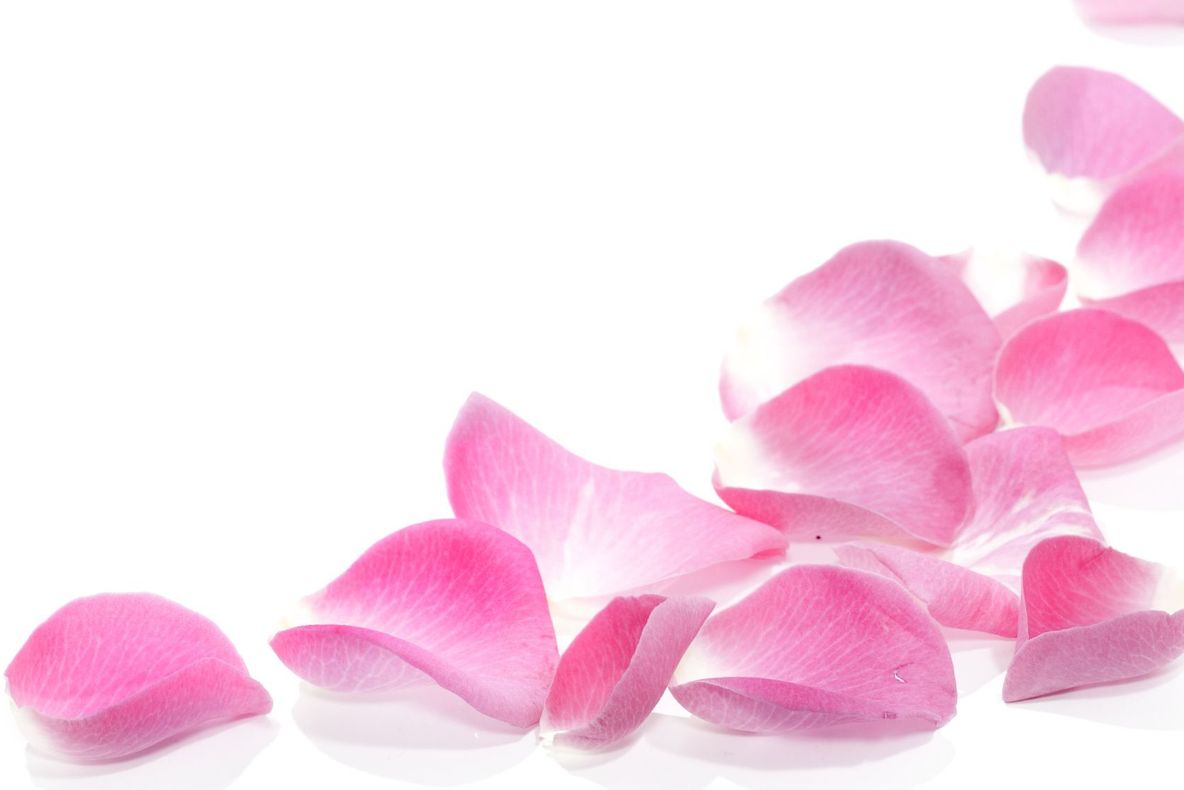 Apa de trandafiri - elixirul frumuseții reginei Cleopatra