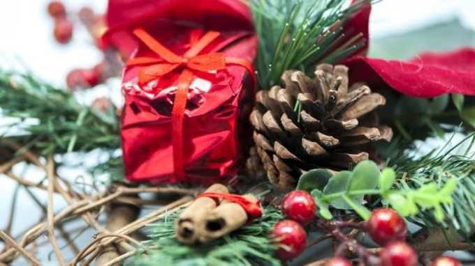 Plante de Crăciun care sunt otrăvitoare