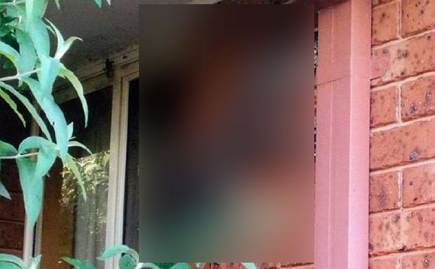 A ieșit din casă și a înghețat. Monstrul se cățăra, încet, pe peretele exterior. Imagini incredibile