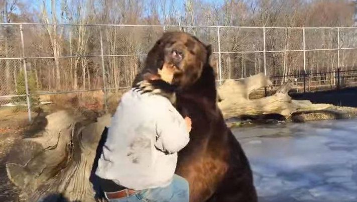A intrat în cușca unui urs imens. Ce a urmat a devenit VIRAL. Ce s-a întâmplat cu bărbatul 
