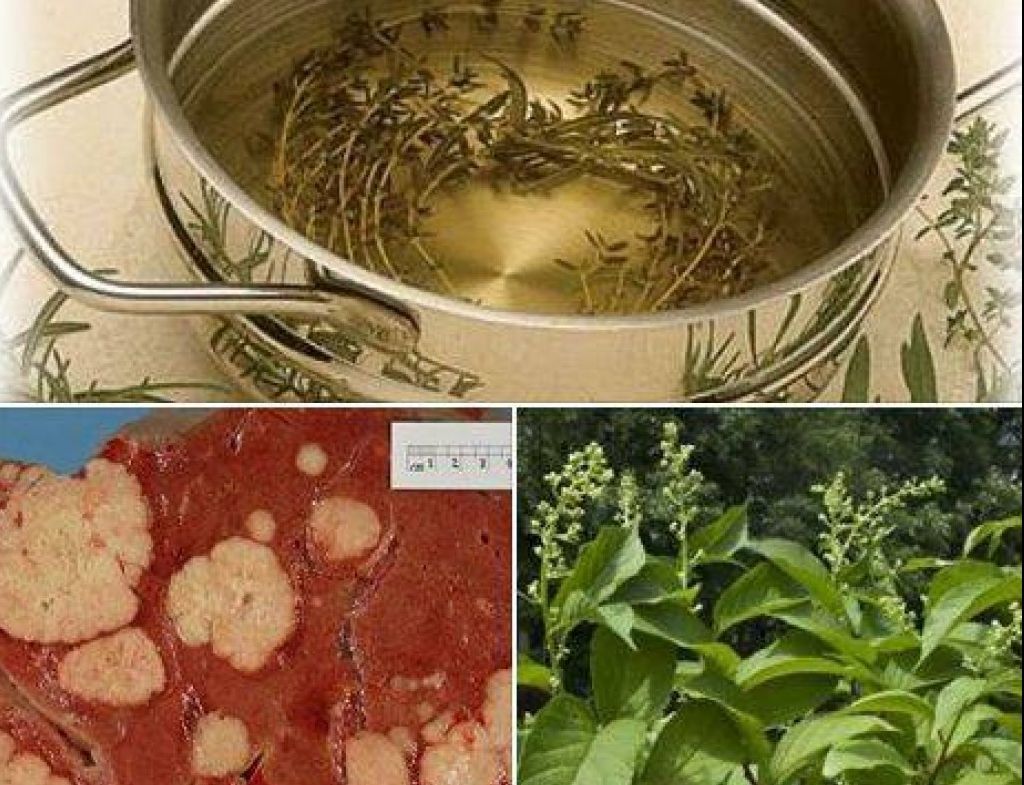 Planta care te vindecă de cancer în numai 6 săptămâni