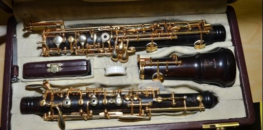 Instrumente muzicale în valoare de 40.000 de euro, furate din Germania, recuperate de polițiști