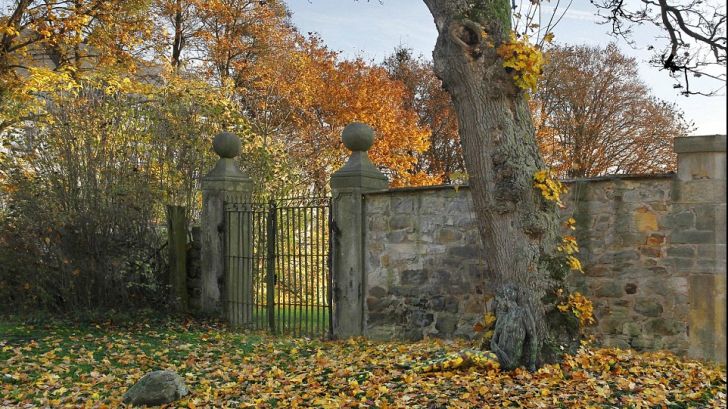 Tu vezi femeia dezbrăcată din imagine? Trucul fotografului care a păcălit creierul