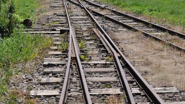 Tragedie în Constanţa. O femeie a murit călcată de o locomotivă