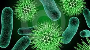 Locul de pe corp unde se ascund până la 2.000 de bacterii. Nici nu bănuiai că e ăsta!