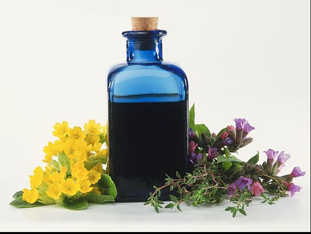 Antibioticul natural care tratează toate infecțiile. Ușor de preparat acasă și la îndemâna oricui