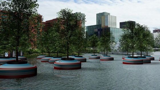 Prima pădure plutitoare din lume