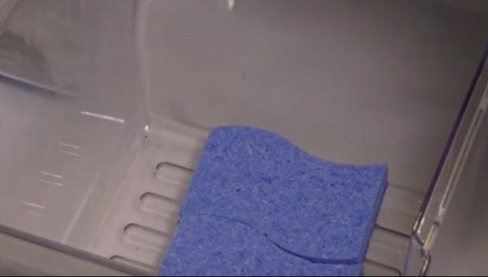 Pune trei bureți în frigider și lasă-i acolo câteva zile. Rezultatul te va uimi