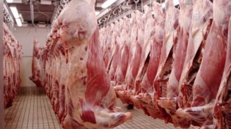 Carne de animale moarte, la o măcelărie din Capitală