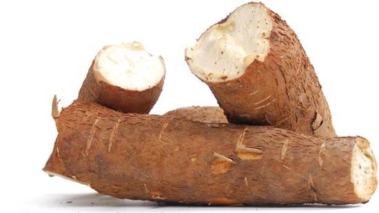 Leguma din supermarket care te poate omorî. O femeie se află la spital 