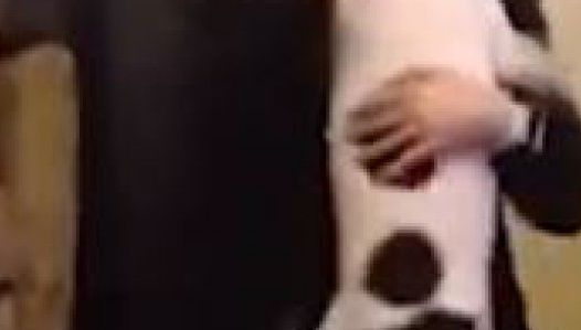 Cum reacţionează un câine când îşi revede stăpânul după o săptămână? Momentul, filmat - VIDEO