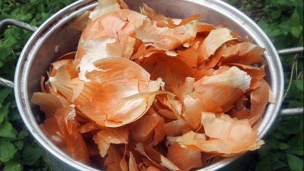 După ce vei citi asta, nu vei mai arunca niciodată cojile de ceapă. La ce sunt bune