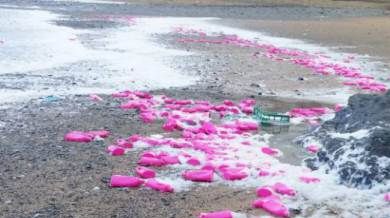 Apariţie bizară pe o plajă din Marea Britanie. "Cred că sunt în jur de 500"