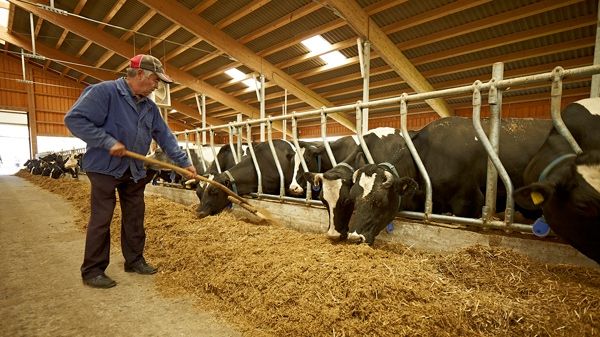 Fermierii din România propun limitarea exporturilor