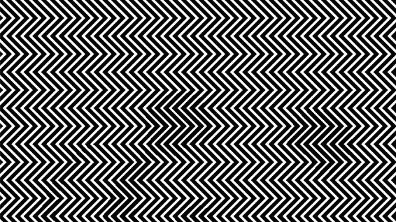 Internauţii, puşi în încurcătură de o iluzie optică. Tu ce vezi în această poză?