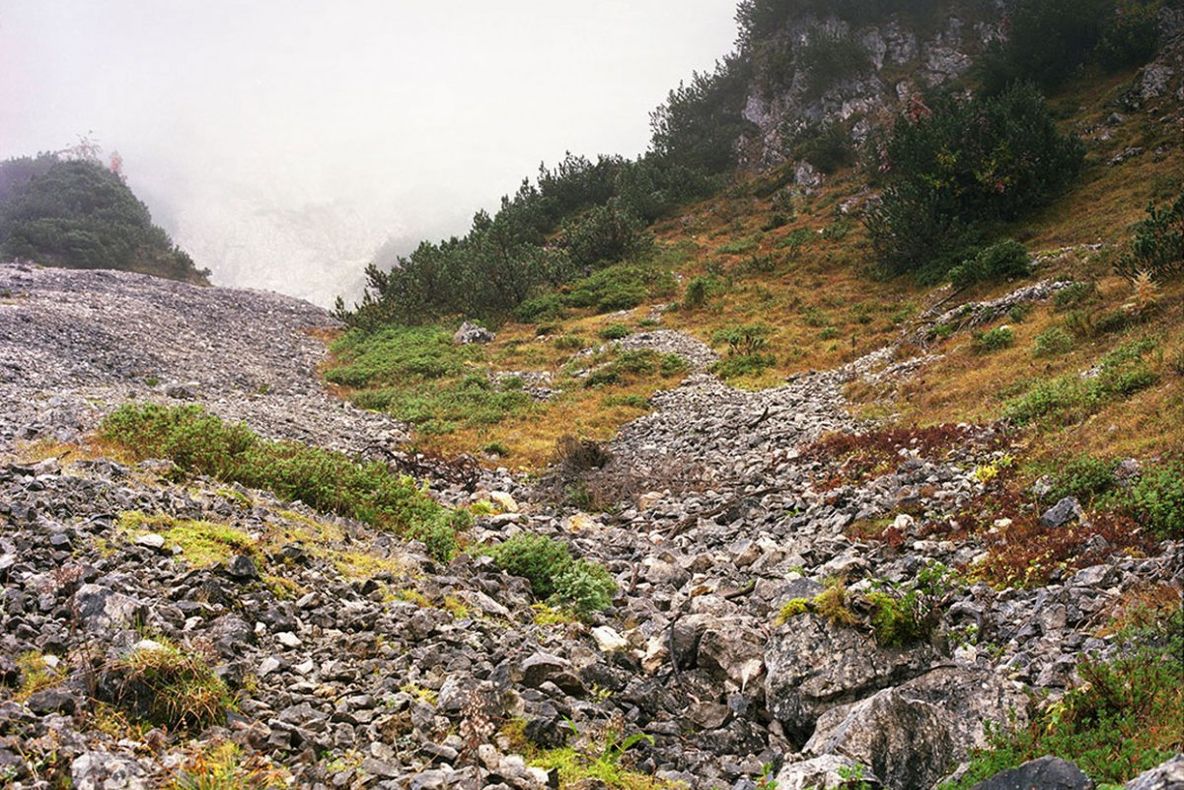 Pozele care au scandalizat internetul. Poţi vedea lunetistul care are arma îndreptată spre tine?