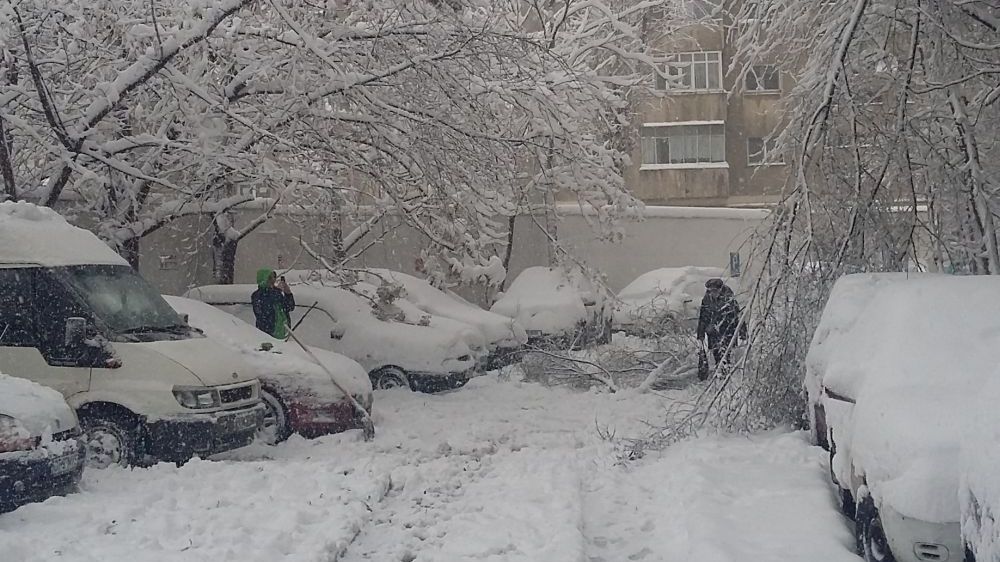 Zăpadă în Capitală de peste jumătate de metru. IMAGINI de la cititori 