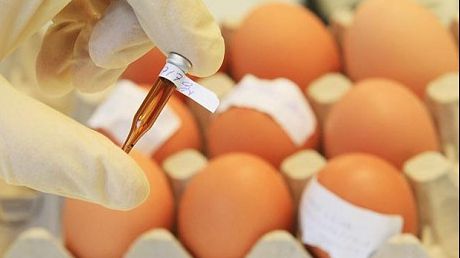 Ai grijă de sănătatea ta! Ce înseamnă numărul de lângă data de expirare de pe ouă