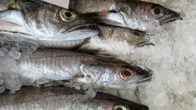 Filmuleţul care a isterizat internetul: un peşte îngheţat, readus la viaţă - VIDEO