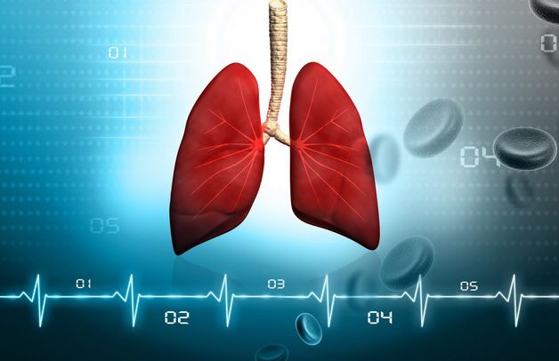 Amestecul natural din trei plante care îţi curăţă plămânii. Şi tu le ai în casă! Cum se prepară