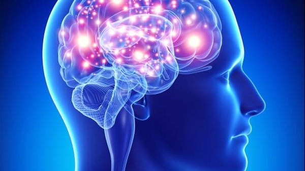 Plantele care te fac mai deștept. Multe persoane le cresc în casă