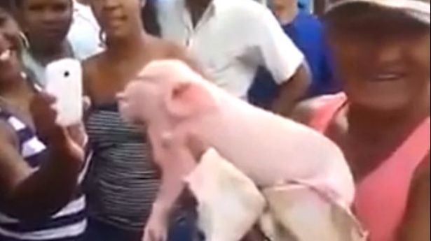 Oamenii au amuțit când l-au văzut. Pare un monstru, dar este, de fapt, un animal obișnuit