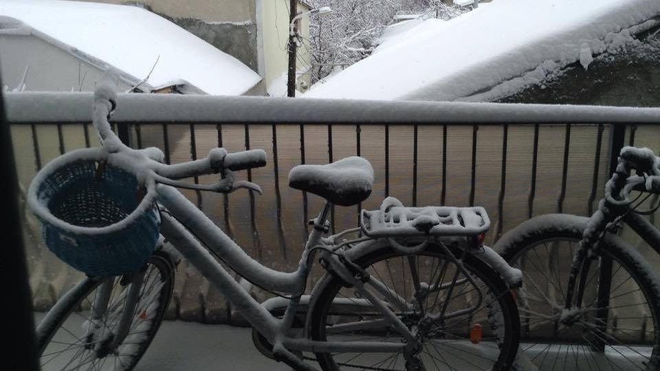 Politicienii, sub influența zăpezii. Ce fotografii au postat pe reţelele de socializare